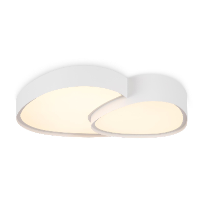 Светильник потолочный FR6079CL-L72W