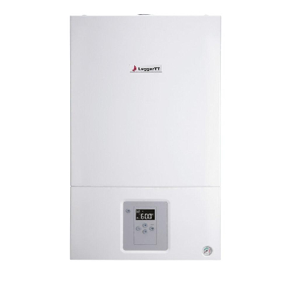 Котел газовый ГАЗ 6000 24 С настенный 24 кВт      двухконтурный с закрытой камерой сгорания