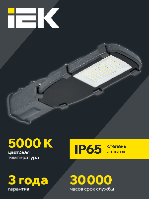 Светильник светодиодный уличный ДКУ-30вт 5000К IP65