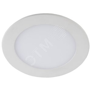 LED 1-12-6K Точечные светильники светодиодный круглый LED 12W 220V 6500K