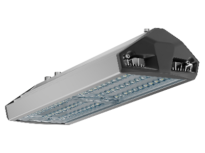 Светильник уличный ЕСАУЛ ДКУ-100 750 ШБ